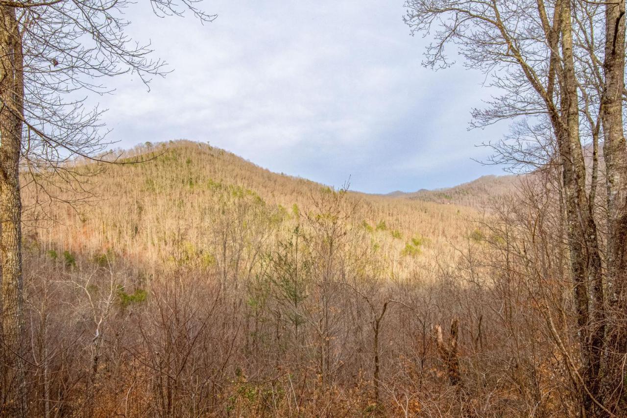 Tree Top Cabin Sylva Exterior foto
